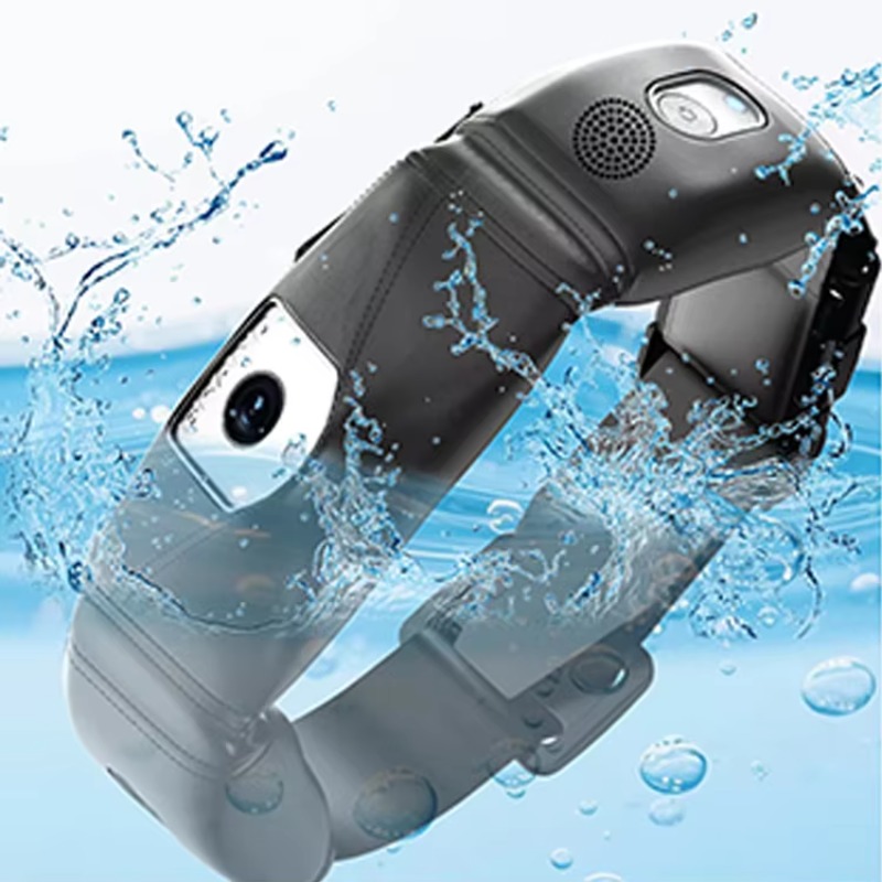 APP Controlled High Accuracy D - Outdoor Hunting Dog Collar recension och pris