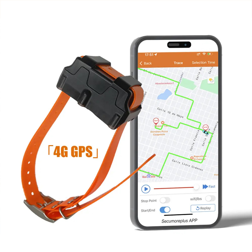 CY09A Portable Pet GPS Tracker - Outdoor Hunting Dog Collar recension och pris