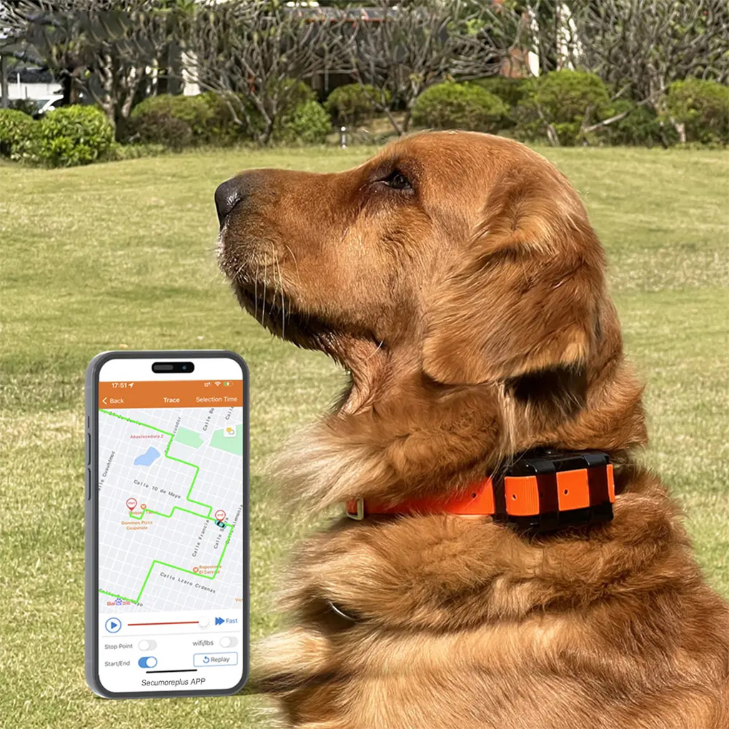 CY09A Portable Pet GPS Tracker - Outdoor Hunting Dog Collar recension och pris