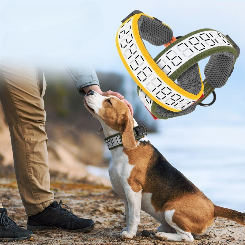 Outdoor Reflective Dog Collar  - Outdoor Hunting Dog Collar recension och pris