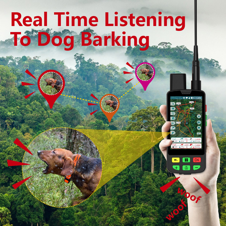 Wholesale 4G GPS Dog Collar an - Outdoor Hunting Dog Collar recension och pris