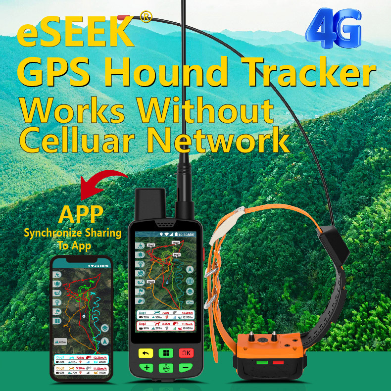 Wholesale 4G GPS Dog Collar an - Outdoor Hunting Dog Collar recension och pris