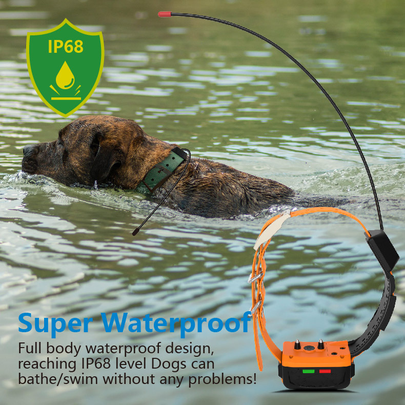 Wholesale 4G GPS Dog Collar an - Outdoor Hunting Dog Collar recension och pris